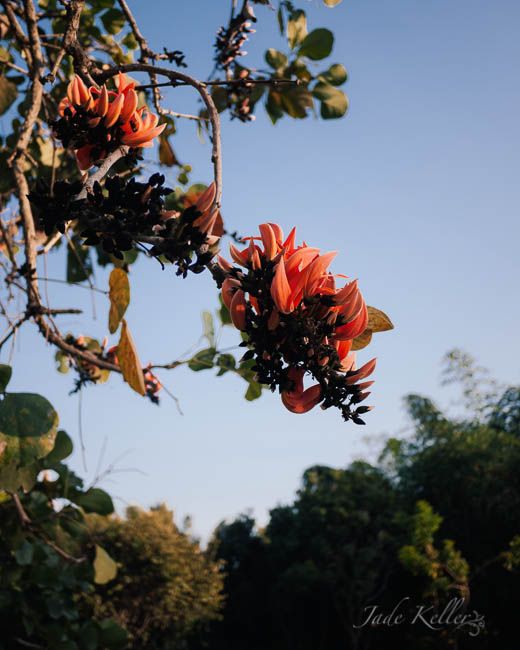 FEB 14 photo _1060033_zps0b30225f.jpg