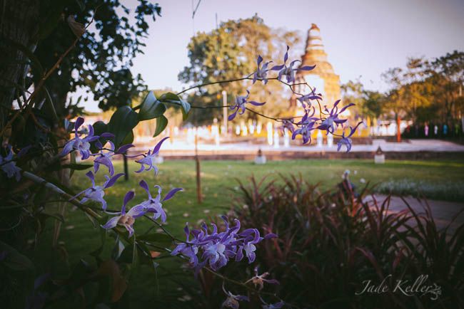 FEB 17 photo _1060041_zps148bc7c0.jpg