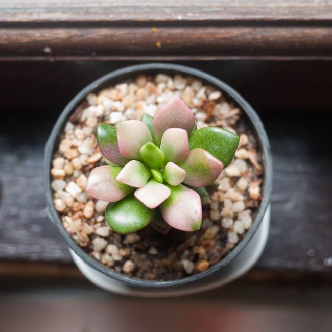 AUG 25 photo _1070426_zps7c9fef8e.jpg