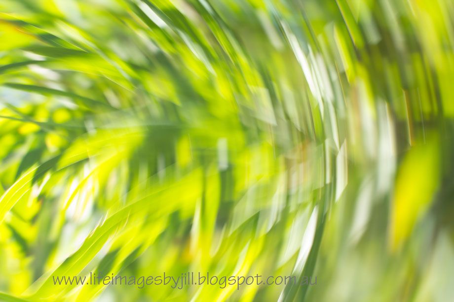 1 September 2014 photo Harvey_hills_5415-9_zps320c9a31.jpg