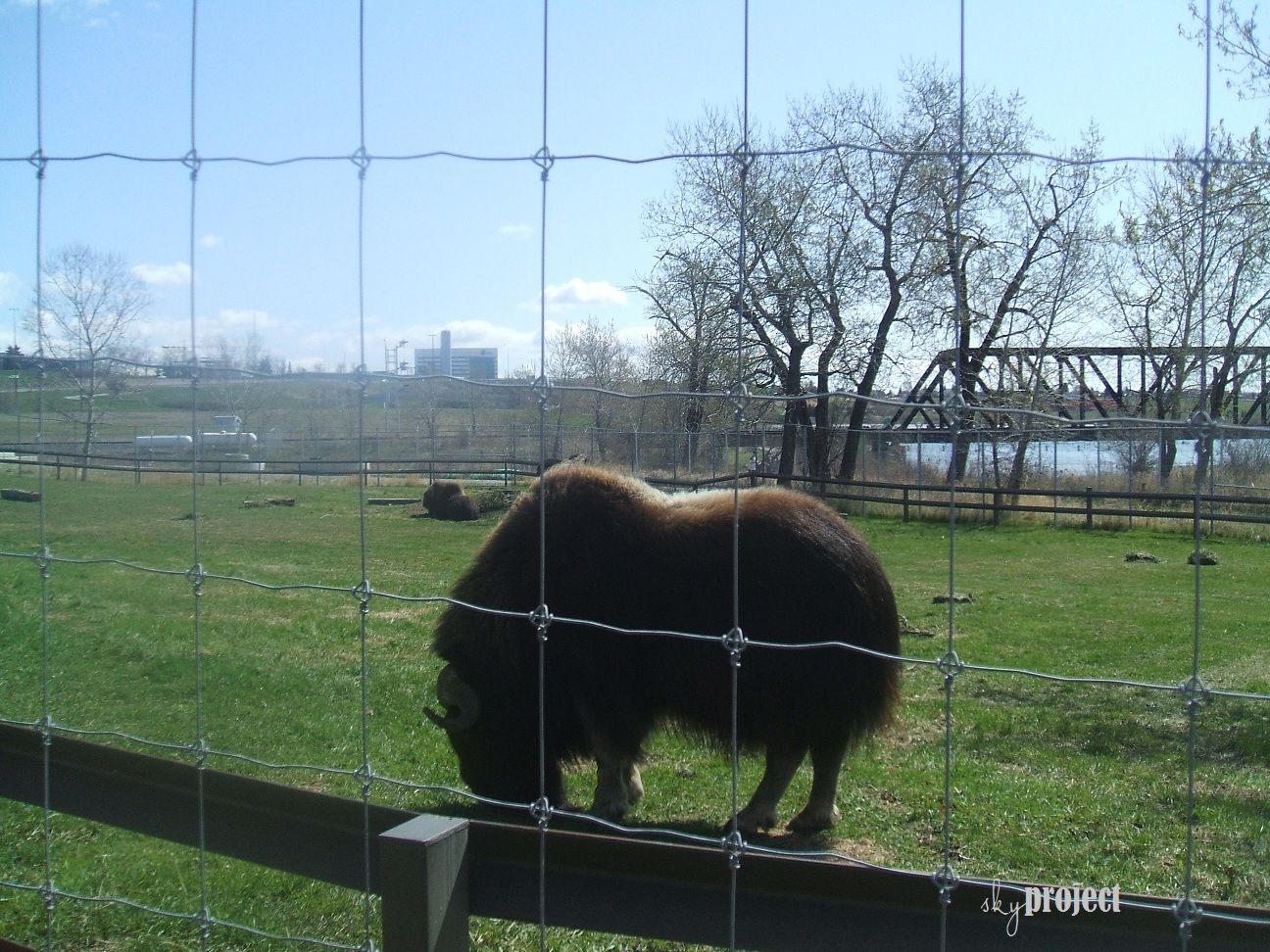 28.2.14 photo DSCF5097_zps311f7b06.jpg