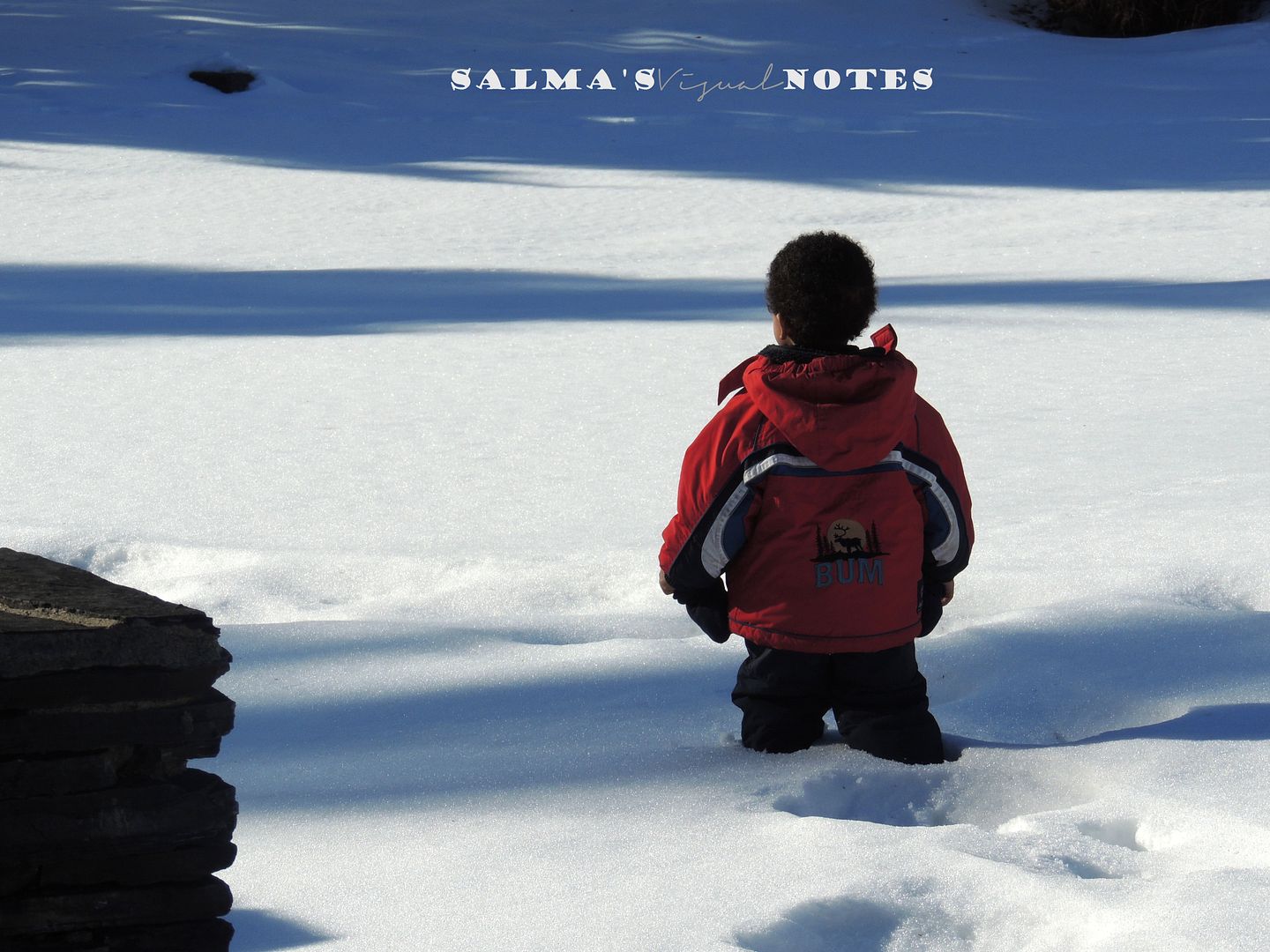 2.17 photo DSCN0114_zpsbaca1780.jpg