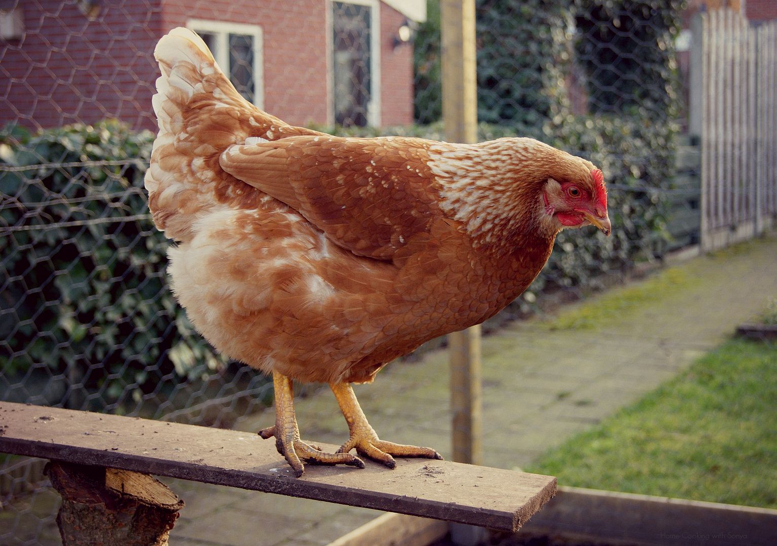 Mon Jan 13, 2014 photo astrid2_zpsa0519cf3.jpg