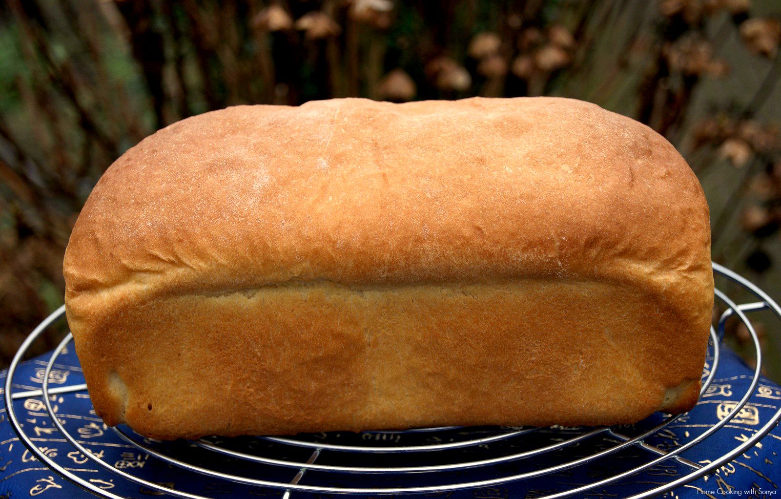 Fri Feb 14,2014 photo basicwhite1_zps84999f6e.jpg