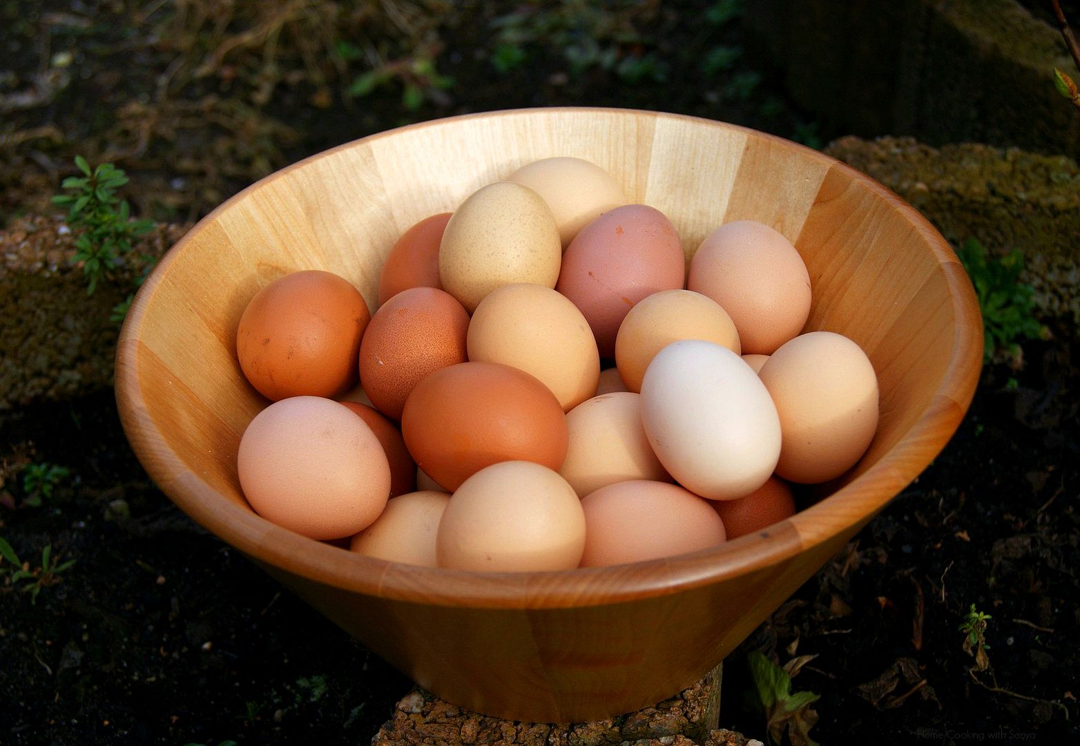 Mon Feb 17,2014 photo eggbowl_zps29c7ff93.jpg