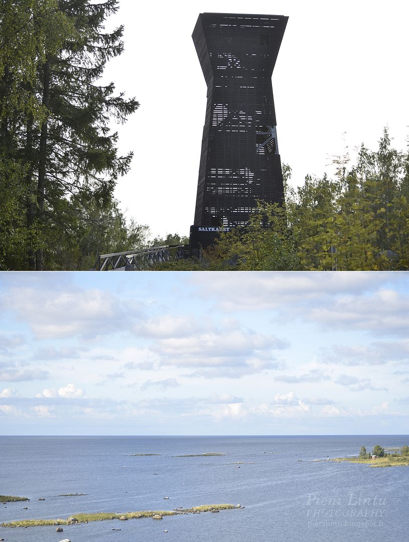 MON - Aug 25, 2014 photo MON-Aug252014_zps2060c836.jpg