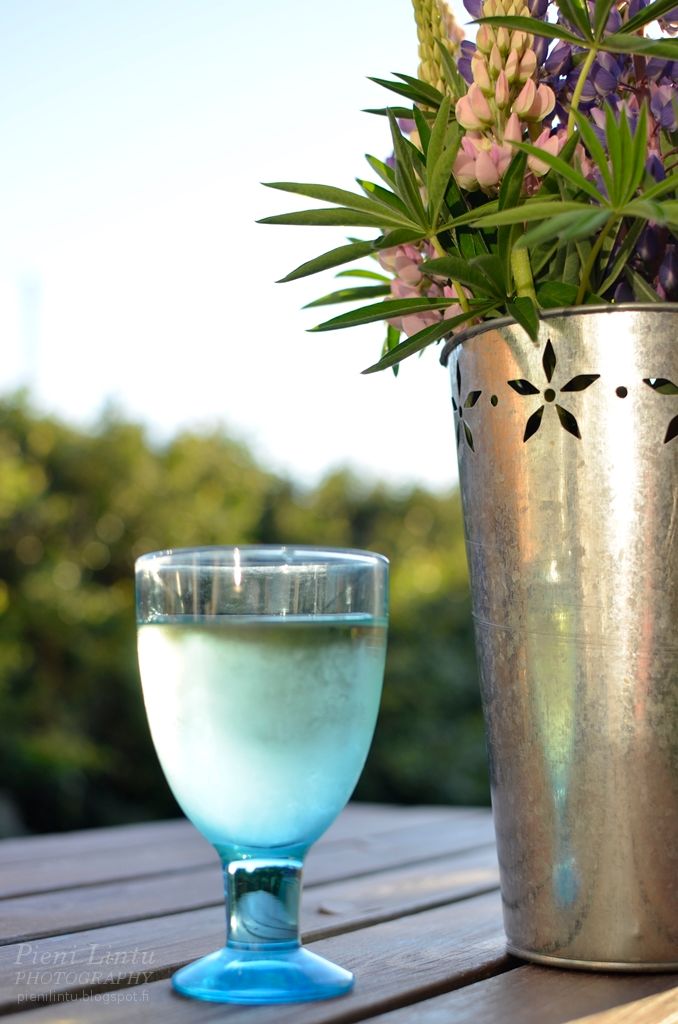 MON - June 23, 2014 photo MON-June232014_zps71d1ac7f.jpg