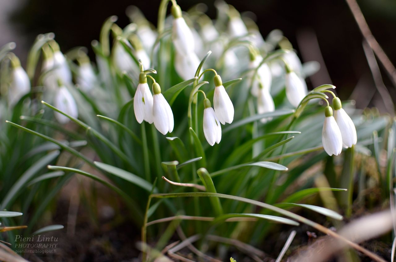 Mon - April 21, 2014 photo Mon-April212014_zps97f30e78.jpg