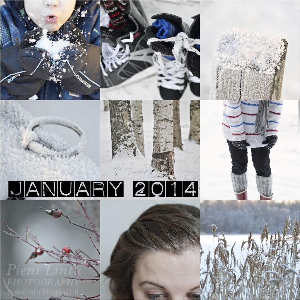 Mon - February 03, 2014 photo Mon-February032014_zpsb3b01067.jpg