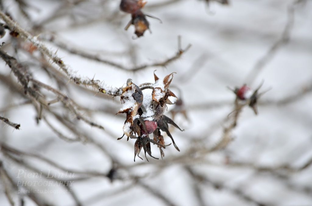 Mon - January 13, 2014 photo Mon-January132014_zpsd3a67122.jpg