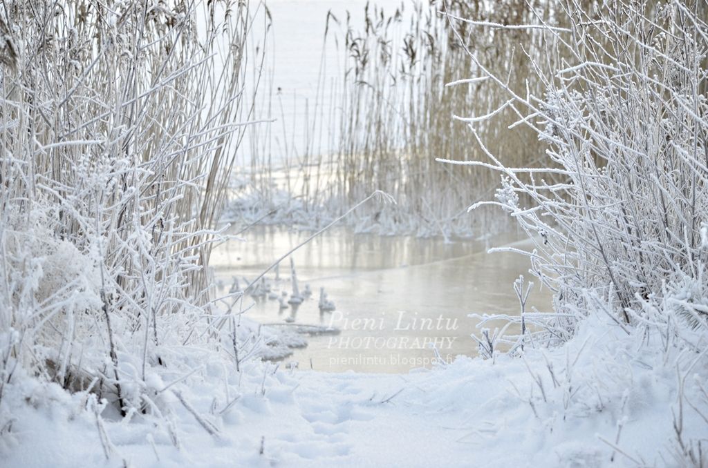 Mon - January 27, 2014 photo Mon-January272013_zps6b58025a.jpg