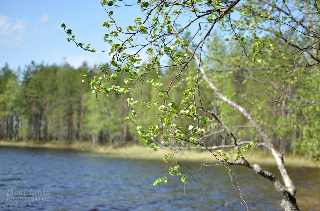 Mon - June 02, 2014 photo Mon-June022014_zps26e8f9a0.jpg