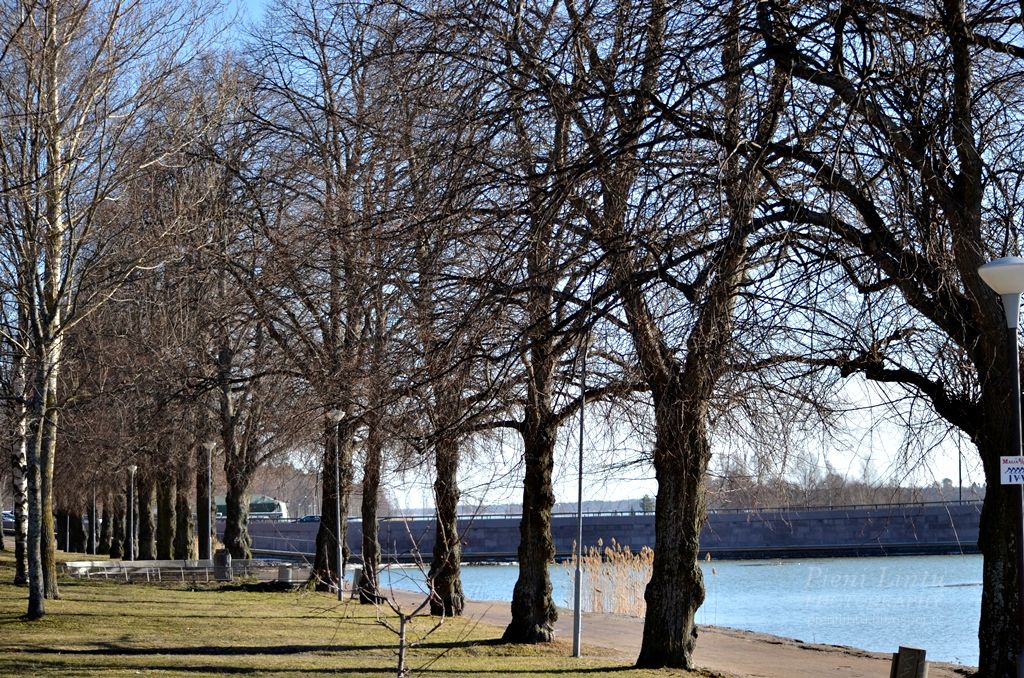 Mon - March 31, 2014 photo Mon-March312014_zps19c7ec70.jpg