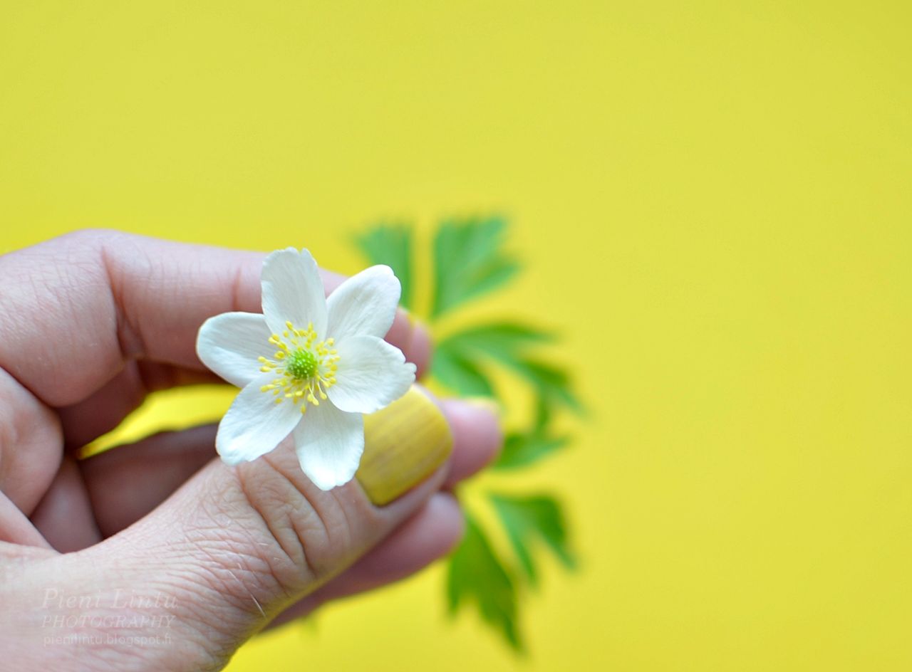 Mon - May 12, 2014 photo Mon-May122014_zpsa09deaa7.jpg