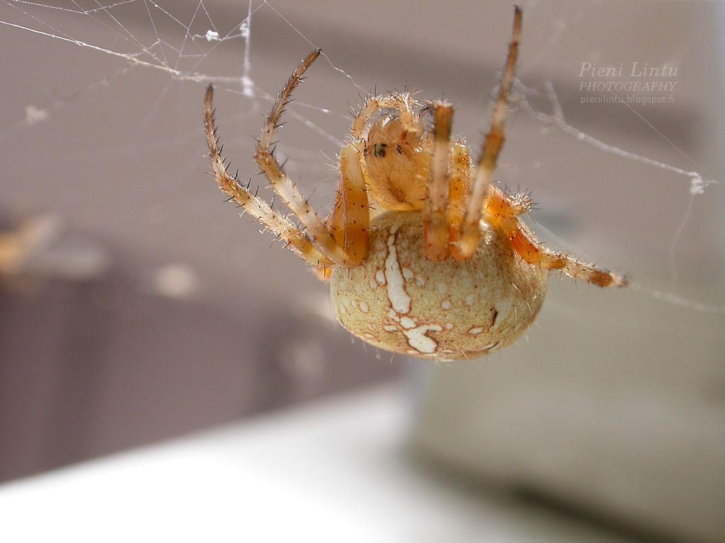 WED - Aug 27, 2014 photo WED-Aug272014_zpsb8a31888.jpg