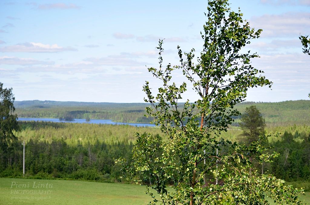 WED - July 09, 2014 photo WED-July092014_zps44828ae7.jpg