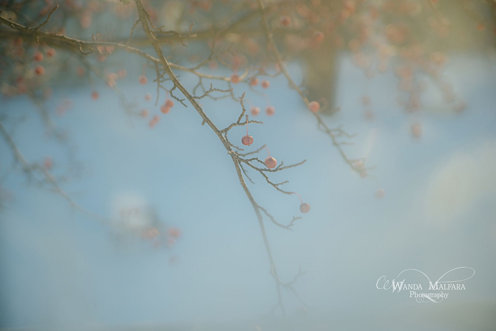 Mon Jan 13, 2014 photo _DSC5989blog_zps7f8efb81.jpg