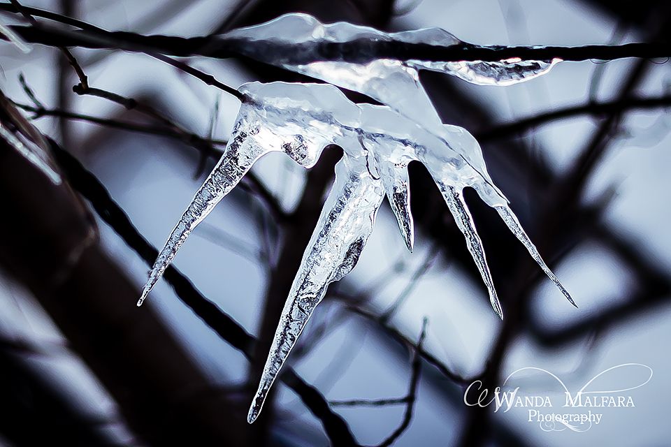 Mon Feb 17, 2014 photo _DSC8269-2wmfb_zpsa540e4e6.jpg