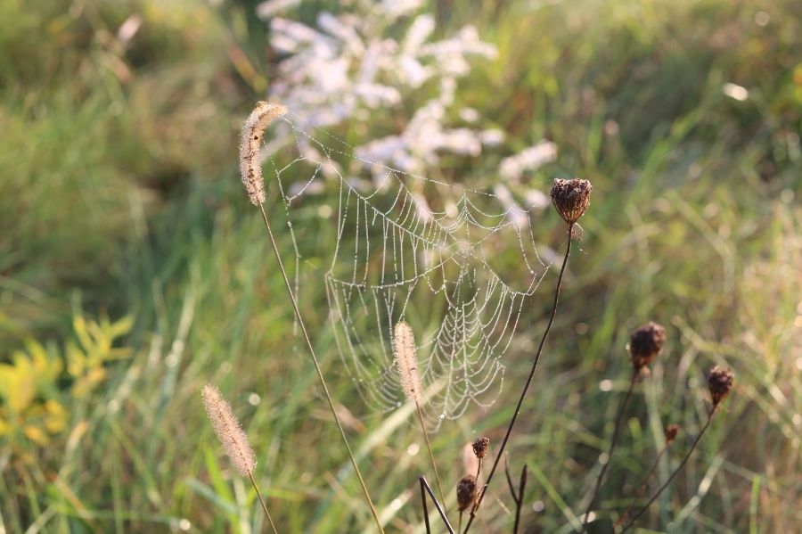 used photo 76d87aff-d00e-4d01-be7d-df9ff2437a9e_zps0de5eedb.jpg