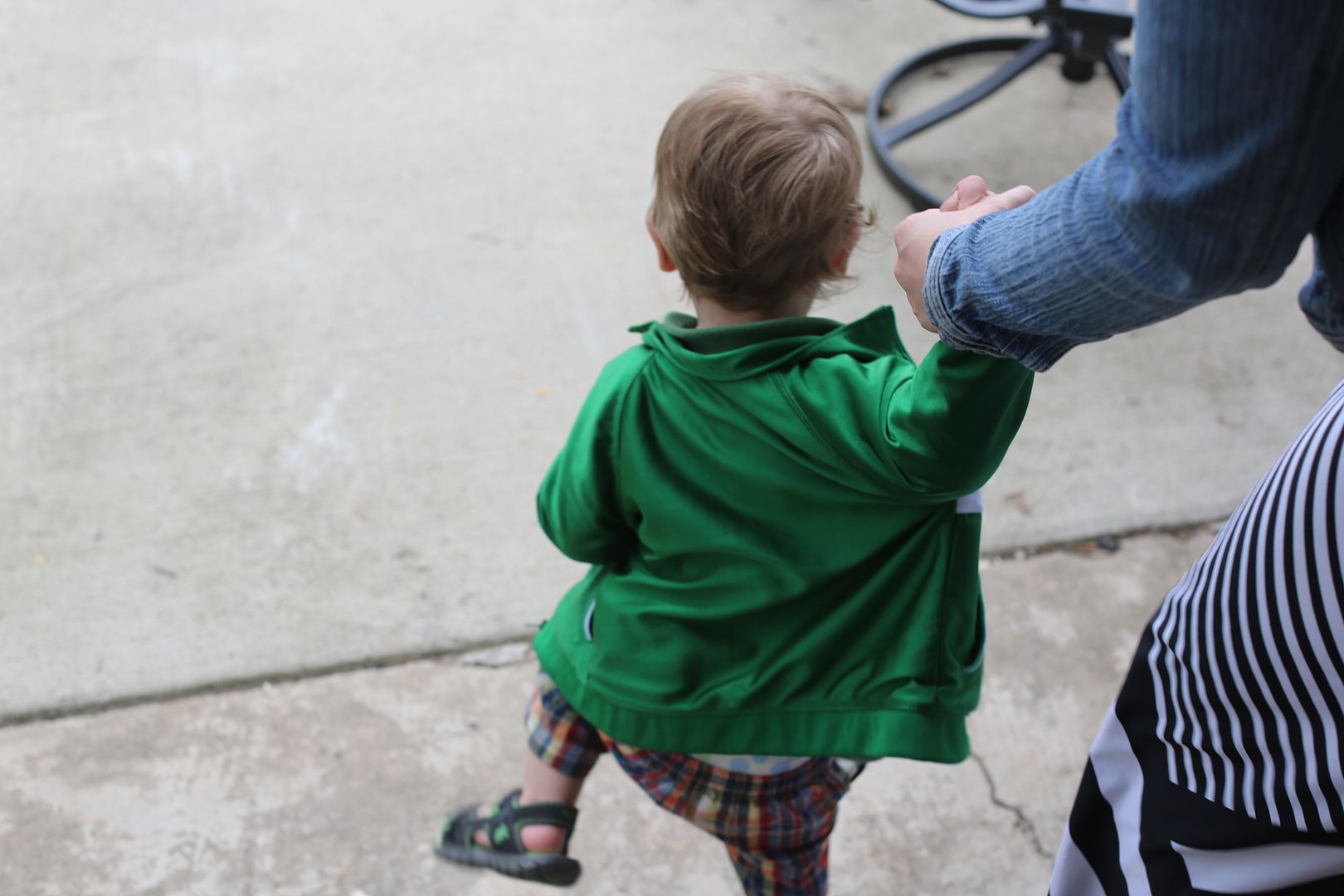  photo 8M8A1186_zps391051a5.jpg