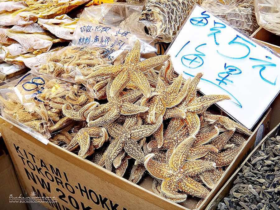 Starfish - HK$5 apiece
