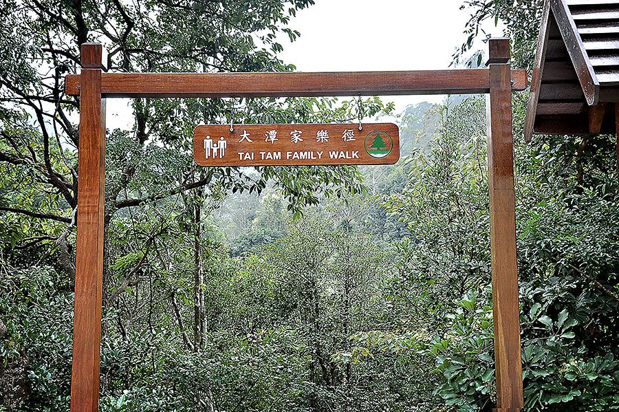 Tai-Tam-family-hike.jpg 1.10