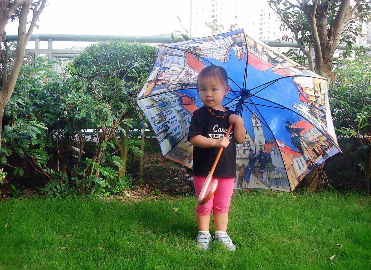 5.5  Umbrella