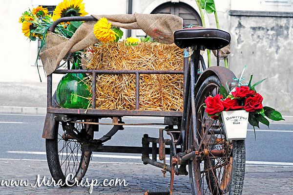 A Random Street Decoration