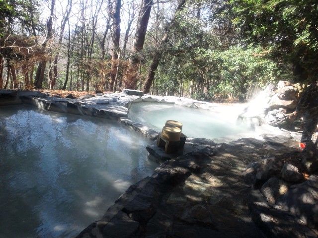 1.19, My favorite outside hot spring. We happened to meet the deer this time.