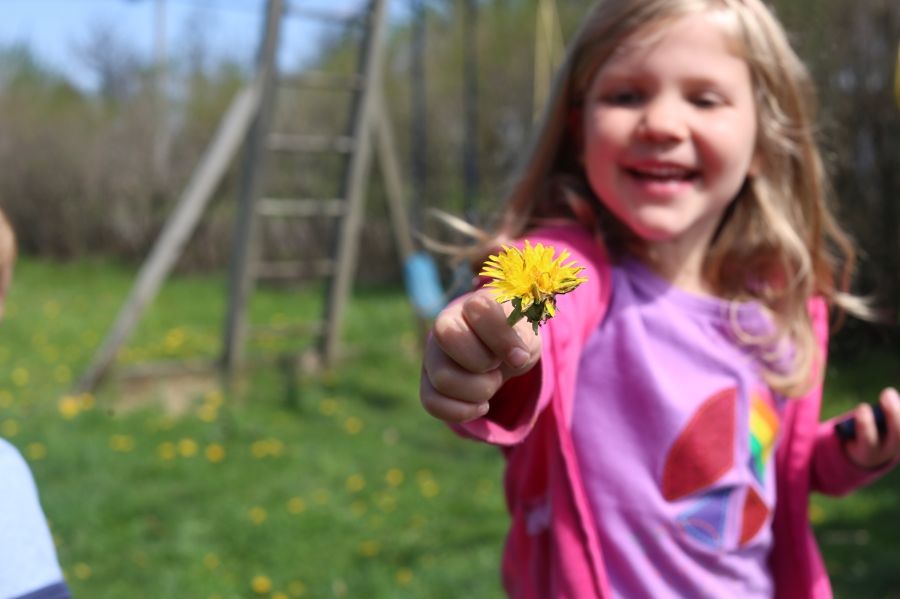  photo cd28be47-82e8-47a4-a181-52463a5217c9_zpsc5660cad.jpg