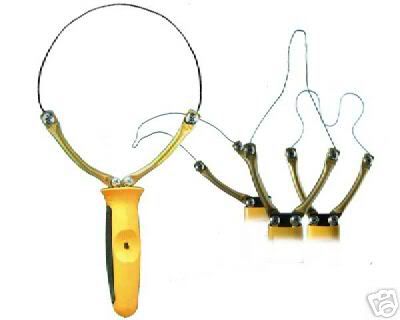 Click to see the original size.