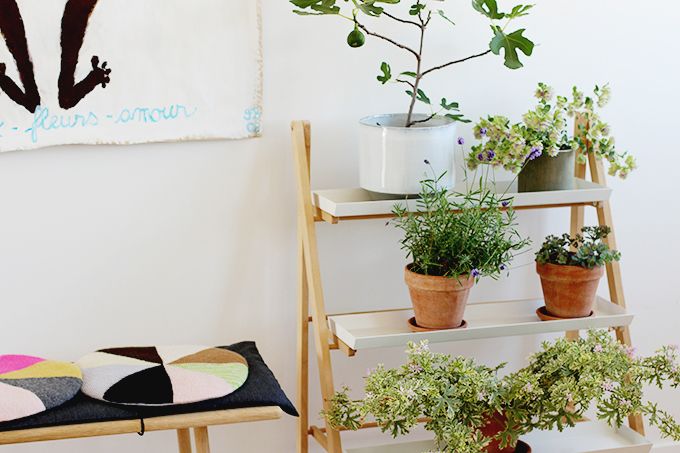 Urban green: den perfekte plantetrappe
