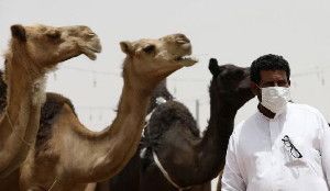 A man wearing a mask looks on as he stands in front of camels at a camel market in the village of al-Thamama near Riyadh May 11, 2014.