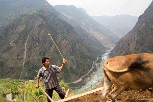 Ke Shouyi, 47, a farmer in the Lisu ethnic group, prodded his cow to plow the remote rural area near the Nu River in China’s Yunnan Province.