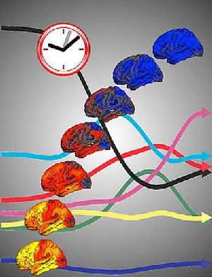 The 'developmental clock' shows increases and decreases in brain's cortical surface, as well as the dynamic cascade of many other brain measures, all changing with increasing age (from age 3-20). (Credit: University of California San Diego of Medicine)
