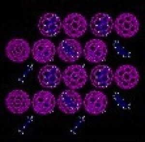 The structure of carbon-60 solvate made with C-60 cages and m-xylene solvent. (Credit: Image courtesy of Carnegie Institution)