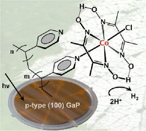 Grafting molecular cobalt-containing hydrogen production catalysts to a visible-light-absorbing semiconductor exploits the UV-induced immobilization chemistry of vinylpyridine to p-type (100) gallium phosphide (GaP). (Credit: Image courtesy of DOE/Lawrence Berkeley National Laboratory)