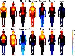 Different emotions are associated with discernible patterns of bodily sensations. (Credit: Image courtesy of Aalto University)