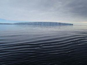 Pine Island Glacier. (Credit: Pierre Dutrieux)