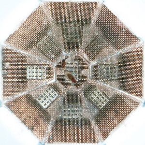 To capture the male fruit fly's mating song, the researchers constructed an octagonal chamber covered in copper mesh and fitted with nine high-fidelity microphones (above). The researchers then placed a sexually mature male and female in the chamber and recorded more than 100,000 song bouts.