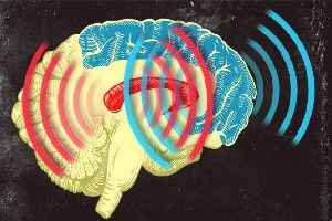 MIT neuroscientists found that brain waves originating from the striatum (red) and from the prefrontal cortex (blue) become synchronized when an animal learns to categorize different patterns of dots.