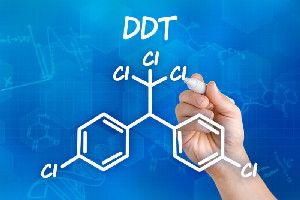 Chemical structure of DDT (stock image).