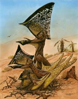 This is a reconstruction of three ontogenetic (growth) stages of the new pterosaur Caiuajara dobruskii.
