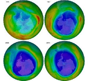 The images above show the Antarctic ozone hole on September 16 (the International Day for the Preservation of the Ozone Layer) in the years 1979, 1987, 2006, and 2011. The first two maps are based on data from the Total Ozone Mapping Spectrometer (TOMS) on the Nimbus-7 satellite. The other two maps are made with data from the Ozone Monitoring Instrument on the Aura satellite. Though taken by different instruments, the data sets have all been cross-calibrated and reanalyzed by scientific models.
