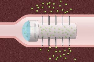 A schematic drawing of a microneedle pill with hollow needles. When the pill reaches the desired location in the digestive tract, the pH-sensitive coating surrounding the capsule dissolves, allowing the drug to be released through the microneedles.