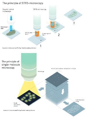 The principle of STED microscopy and the principle of single-molecule microscopy.