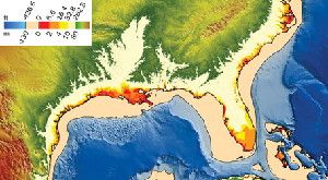 Global warming feedbacks are speeding up the rise of sea level, which is expected to rise 1 meter by 2100. If the East and West Antarctic ice sheets melted, waters would rise by about 80 meters, submerging Florida and the Gulf Coast.