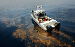 A team of experts works to recover endangered turtles from the oil-tainted Gulf of Mexico in June 2010, two months after the BP spill. (Carolyn Cole, Los Angeles Times / June 14, 2010)