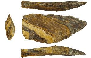 Half-million-year-old spear tips recovered from the Kathu Pan 1 site in South Africa, including the one shown from different angles, suggest that an ancestor of humans and Neandertals used weapons for hunting.