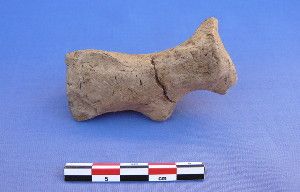 As well as cultivating and domesticating one form of wheat by 9,800 years ago, inhabitants of a newly excavated village in western Iran left behind artifacts such as this clay animal figurine.